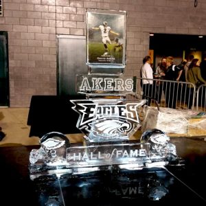 Akers Eagles Hall Of Fame Live Ice Carving Exhibition