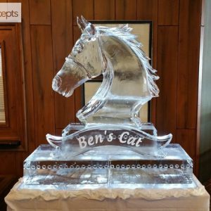 Ben’s Cat Statue Ice Sculpture Display
