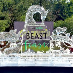 Elmwood Park Zoo Live Ice Carving Exhibition