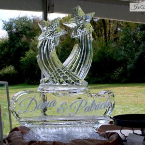 Shooting Stars with Names Ice Carving